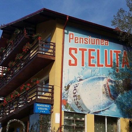 Pensiunea Steluta Predeál Kültér fotó