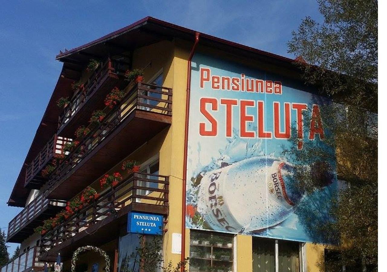 Pensiunea Steluta Predeál Kültér fotó